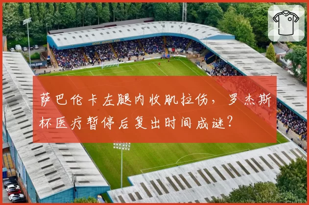 萨巴伦卡左腿内收肌拉伤，罗杰斯杯医疗暂停后复出时间成谜？